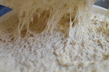 Yeast dough in the bowl