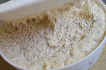 Yeast dough