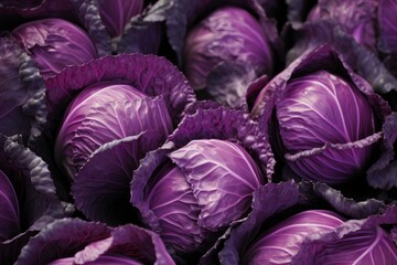 Juicy Red cabbage closeup. Colored and layered large vegetable falls water. Generate AI - Powered by Adobe