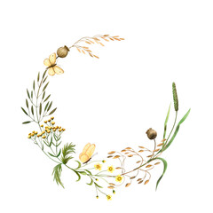 Wealth of field herbs tansy flowers, yellow butterfly. Watercolor illustrations for printing cards, textiles, packaging  © Anastasia Brekhova
