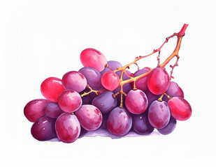 vibrant cluster of fresh, ripe red grapes. They glisten with water droplets, set against a pure white backdrop