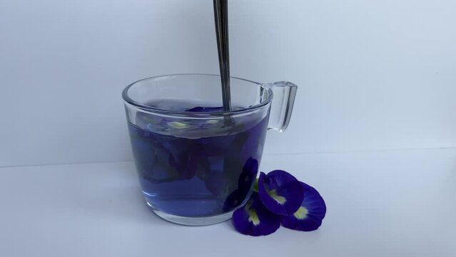 Brewing fresh butterfly pea flower petals, or Clitoria ternatea. Inside transparent glass, isolated on white background. Color change after adding lemon