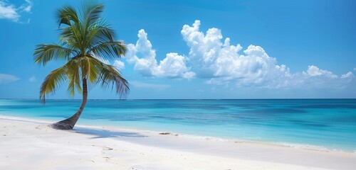 A panoramic view of a secluded island oasis, with palm trees casting long shadows on the shore.