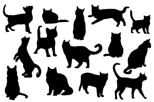 Collection de silhouettes de chats et de chatons - Illustrations d&eacute;taill&eacute;es vectorielles - Diff&eacute;rentes postures et positions de f&eacute;lins - Poils, fourrures et d&eacute;tails - Trac&eacute;s &agrave; la main - &Eacute;ditable 