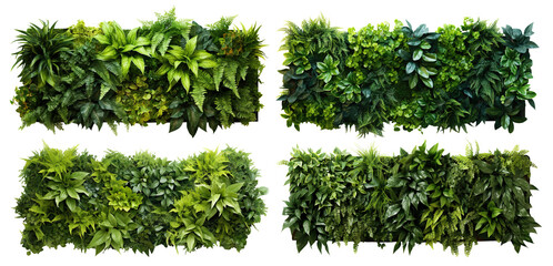 Set of green garden walls from tropical plants, cut out