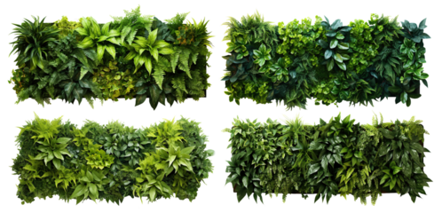Set of green garden walls from tropical plants, cut out