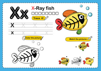 Illustration Isolated Animal Alphabet Letter X-x rayfish