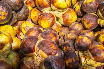 Fresh palm fruit best in Summer season