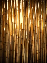 A display of bamboo sticks, highlighting bamboos rapid growth and sustainability, popular in ecofriendly building materials