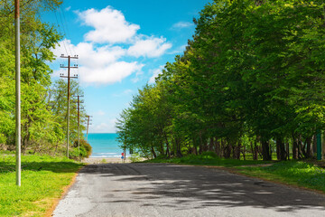 Asphalt road between dense green trees towards the sea