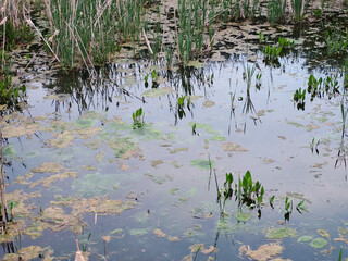 Prévention des inondations : un bassin de rétention des eaux pluviales dans le vignoble alsacien