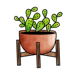 Cactus flower in pot illustration 