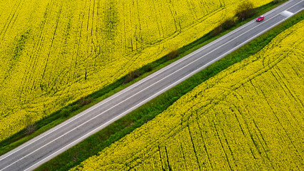 Aerial view of a car driving along a straight road between rapeseed fields, Spinetta Marengo, Piedmont, Italy