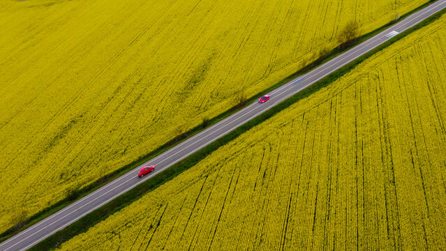 Aerial view of two cars driving along a straight road between rapeseed fields, Spinetta Marengo, Piedmont, Italy