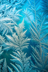 Macro View of Frost Pattern on Glass
