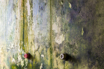 Green Mold On An Old Peeling Abandoned Wall With Two Electrical Sockets