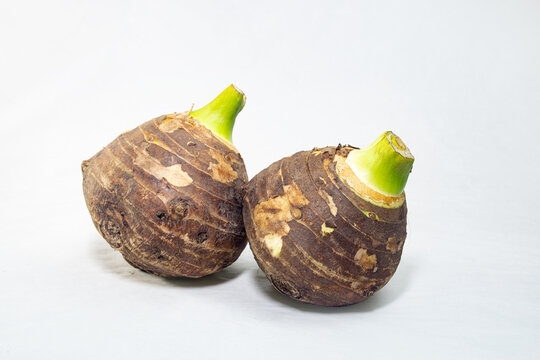 Edible root of colocasia over white background. Colocasia esculenta is a long-lived herbaceous plant in the family Araceae.