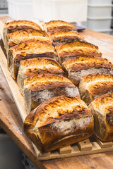 Freshly baked loaves of bread on a wooden board