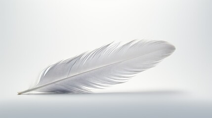 Obraz premium elegant gray photo backgrounds