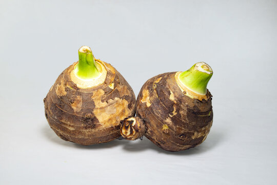 Edible root of colocasia over white background. Colocasia esculenta is a long-lived herbaceous plant in the family Araceae.