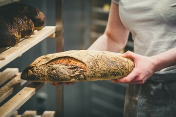 Female baker puts freshly baked bread on a wooden shelf