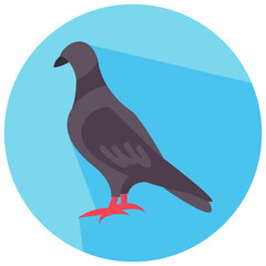 pigeon round flat vector icon
