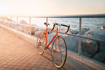 Vintage Wheels and Ocean Views: A Cycling Moment Captured in Time