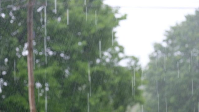 Chuva a cair no campo com fundo desfocado