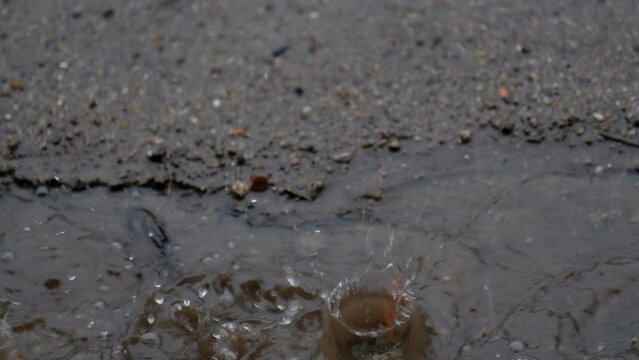 Pingas da chuva a cair no ch&atilde;o