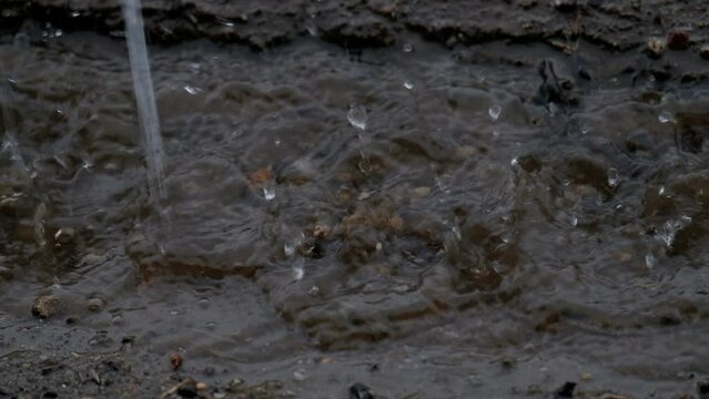 Pingas da chuva a cair na terra