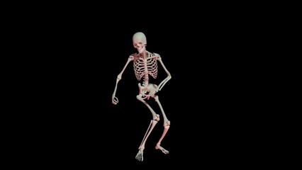 3D-animation. the skeleton is dancing the twist