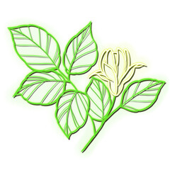 flowers with a neon or glow in the dark effect isolated on a transparent background