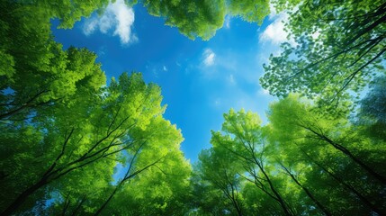 Obraz premium refreshing blue green backgrounds