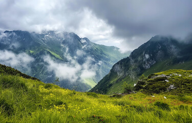 Fototapeta premium lush green mountainous landscape.