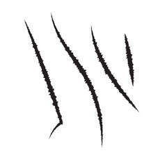 Bear paw claw marks, scratches of animal attack
