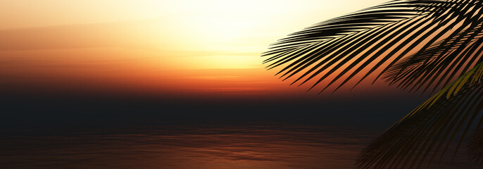 sunset sea palm landscape illustration