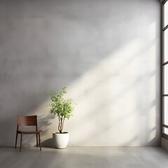Empty minimalist room with a gray wall in the background. The shadow of the sun's rays. Nature cocept.	