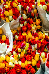 Colorful arrangements of tulips at the Amsterdam Flower Market ("Bloemenmarkt") in Spring