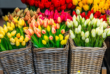 Colorful arrangements of tulips at the Amsterdam Flower Market (