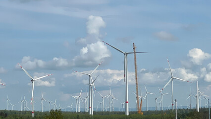 A large wind turbines farm generates energy.