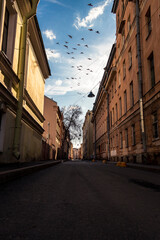 old street in the rays of sun and flying birds