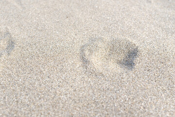 犬の足あと 砂浜についた夏の思い出 海辺にて