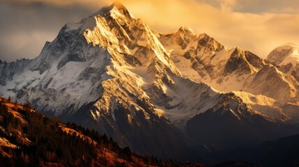 rays golden light background