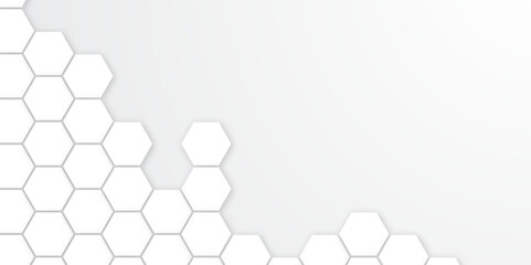 White Hexagonal Background. Luxury White Pattern. Vector Illustration. 3D Futuristic abstract honeycomb mosaic white background. geometric mesh cell texture. modern futuristic wallpaper.