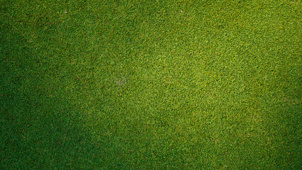 Green grass pattern and texture for background, top view background of garden bright grass concept.