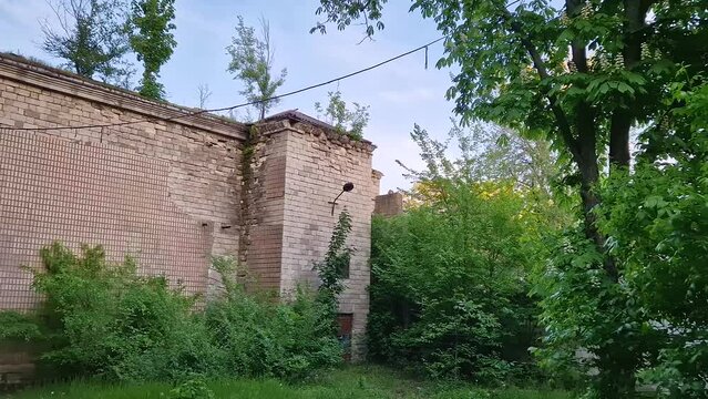 Abandoned old building with cracked walls and growing trees on the roof top