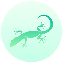 gecko round gradient vector icon