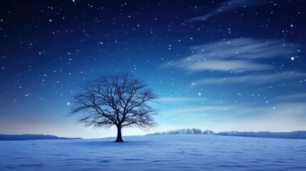 fresh snow and stars