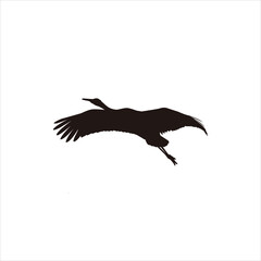 Fototapeta premium silhouette of a sandhill crane vector