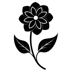 black and white flower isolated